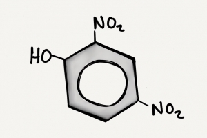 Dinitrophenol chemical structure