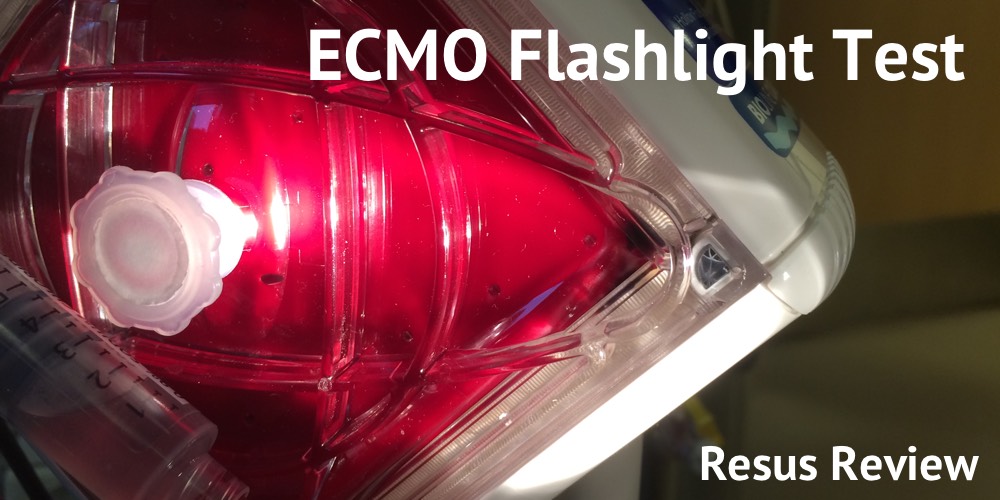 ECMO-Flashlight-Test-Title-Image